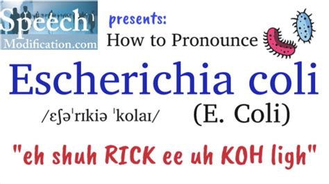 How To Pronounce Escherichia Coli E Coli Full Name Youtube