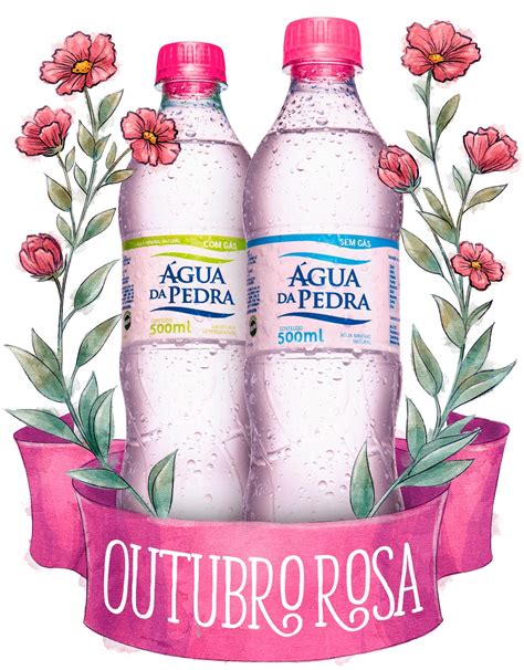 Gua Da Pedra Promove Circuito De Palestras Em Prol Do Outubro Rosa Abir