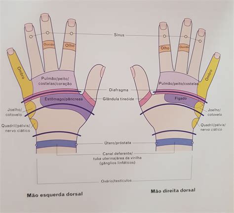 Reflexologia Das Mãos Como Fazer Massagem Nas Mãos Auto Massagem Thiago Nishida