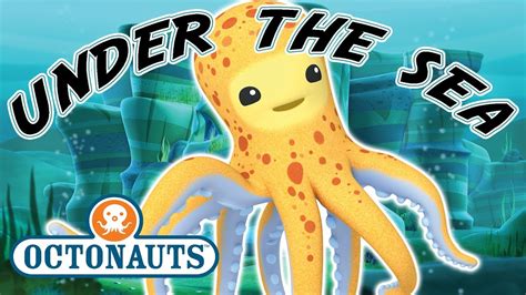 Octonauts Deep Sea Creatures Cartoons For Kids Underwater, 42% OFF