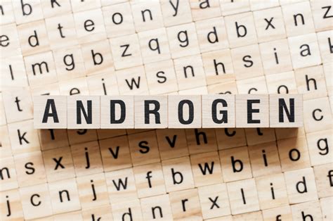 Androgene: Wirkung und Funktion| Medi-Karriere