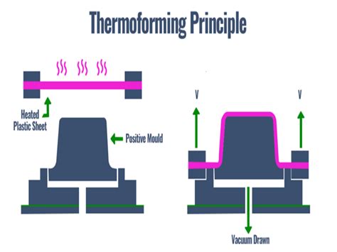 Thermoforming Vs Injection Molding What S The Difference Alpine Mold