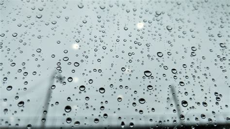 Free Images Water Drop Drizzle Rain Moisture Precipitation Dew