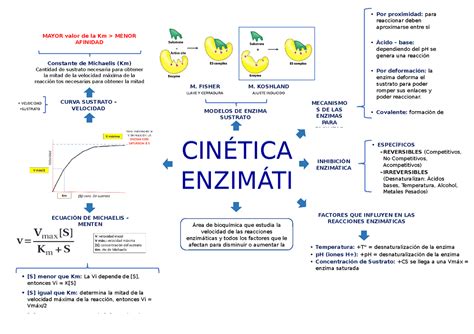 Arriba 103 Imagen Mapa Mental Sobre Cinetica Quimica Abzlocal Mx