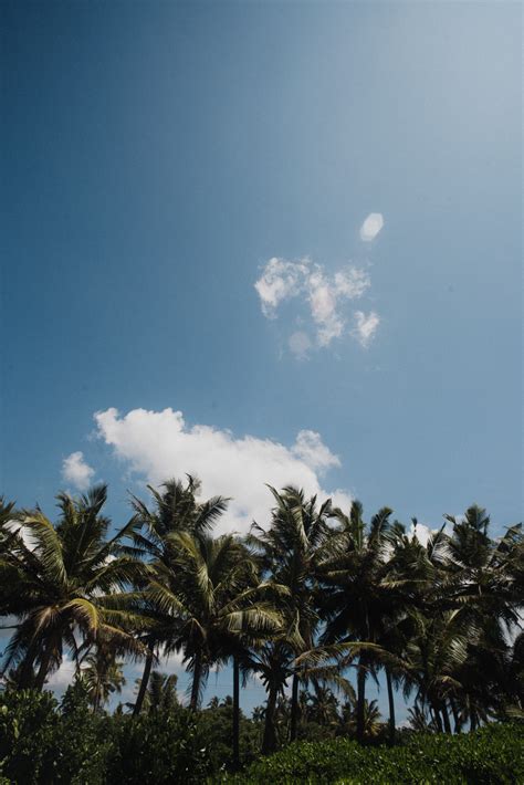 Itsy Bitsy Teenie Weenie Honolulu Strand Bikini On Behance