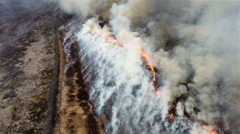 La Nasa Capturó Una Impresionante Imagen De Los Incendios En El Delta