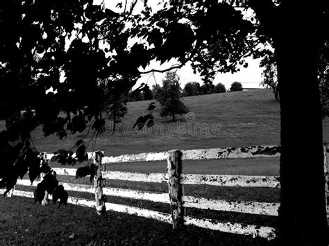 Fence black & white stock photo. Image of landscapes - 24938