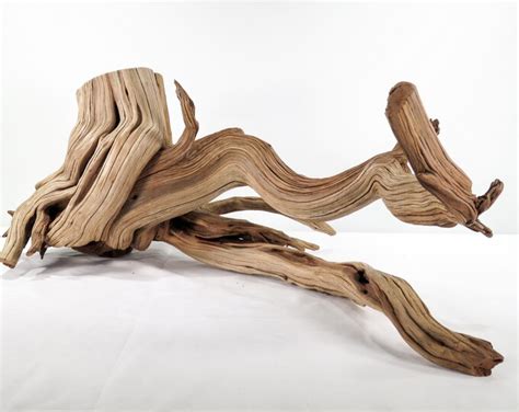 Large Manzanita Stumproot 29 Great Driftwood For Aquascaping Your