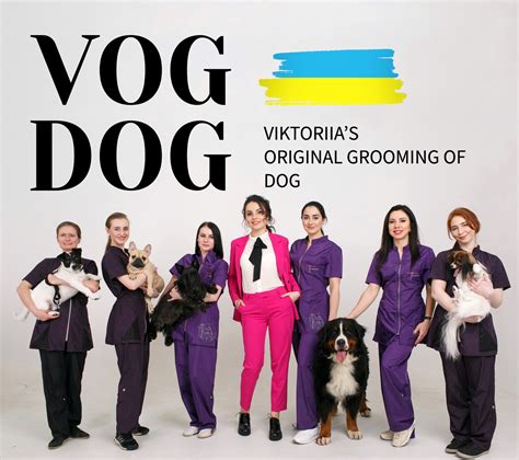 VОG DOG