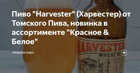 Пиво "Harvester" (Харвестер) от Томского Пива, новинка в ассортименте ...