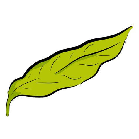 Leaf Of Coffee Transparent PNG SVG Vector File