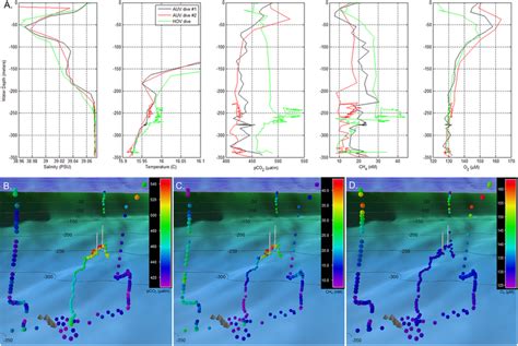 Water Column Profile Data Recorded During AUV And HOV Survey