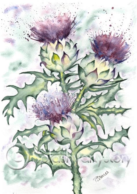 Three Scottish Thistles Scotland Art Print Of Original