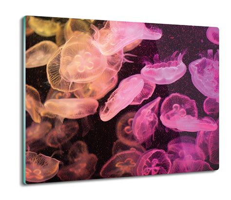 Os Ona Splashback Do Kuchni Kolorowe Meduzy X Artprintcave