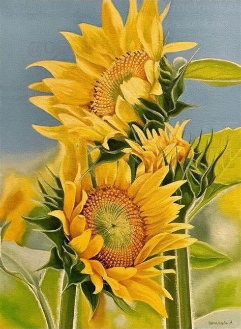 Pin By Gwen Docherty On Sunflower In Sunflower Artwork Flower