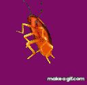 Dancing cockroach on Make a GIF