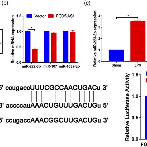 MiR 223 3p Promotes LPS Induced H9C2 Cell Apoptosis A Venn Diagrams