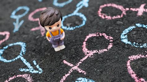 Do Say Gay una revisión detallada sobre sexo y género I Prefacio