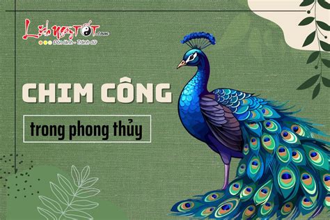 Chim công trong phong thủy: Nếu biết sử dụng đúng cách sẽ gặp nhiều may ...