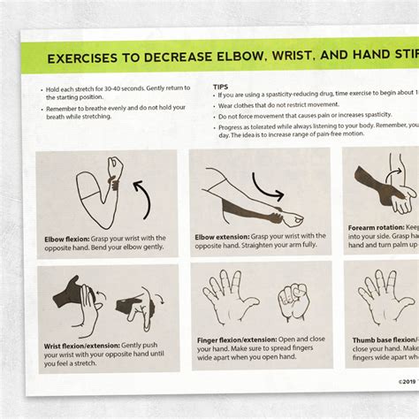 Exercises To Decrease Elbow Wrist And Hand Stiffness Adult And