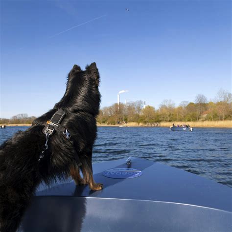 GoBoat - boat rental - GoBoat Denmark