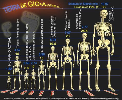 Quantos Metros Tinha Os Gigantes Segundo A Bi - RED DE ESTRELLAS: GIGANTES EN LA TIERRA