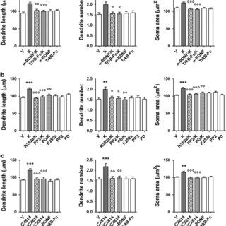 Ketamine Induced Structural Plasticity In Mouse Mesencephalic