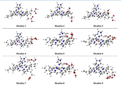 Figure 1 From Exploring The Conformational Variability In The Heme B