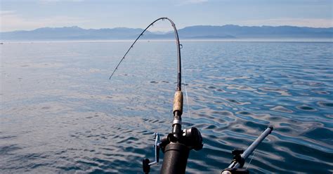 Today is license-free saltwater fishing day