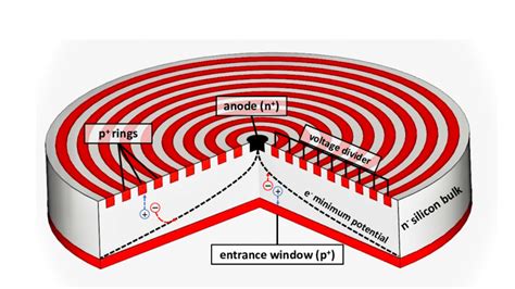 Schematic Layout Of A Cylindrical Silicon Drift Detector The Dotted