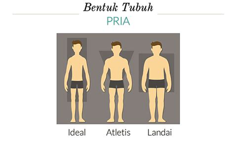 Fashion 101 Bentuk Tubuh Pria Ideal Atletis Atau Landai Duta Bangsa