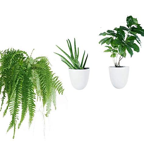 Make Good Virgo Self Watering Wall Planters