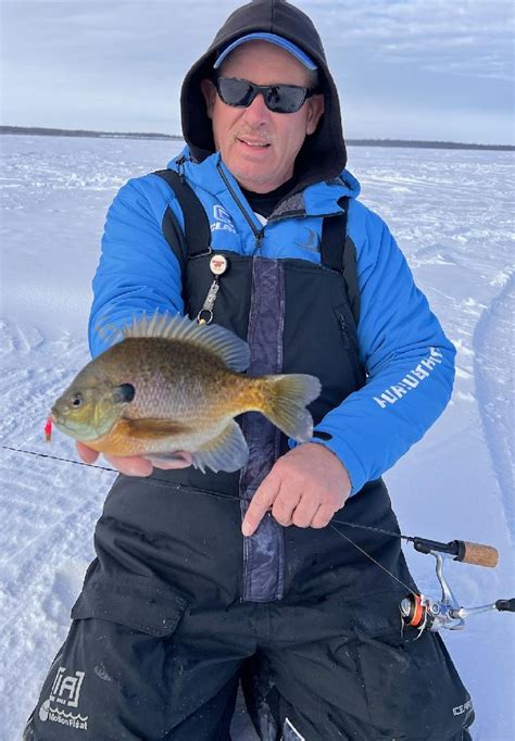 Park Rapids Area, MN (February 6th, 2023) - Virtual Angling