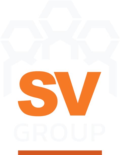 Welcome To Sv Group Digital Marketing And Media Sv Group