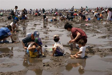 金田みたて海岸潮干狩り場 旅サラダplus 観光・お出かけspot