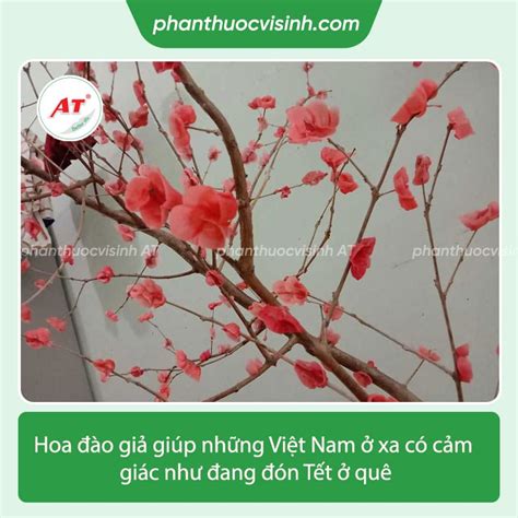 Hướng dẫn cách làm hoa đào bằng nến trang trí ngày tết - Phân Thuốc Vi ...