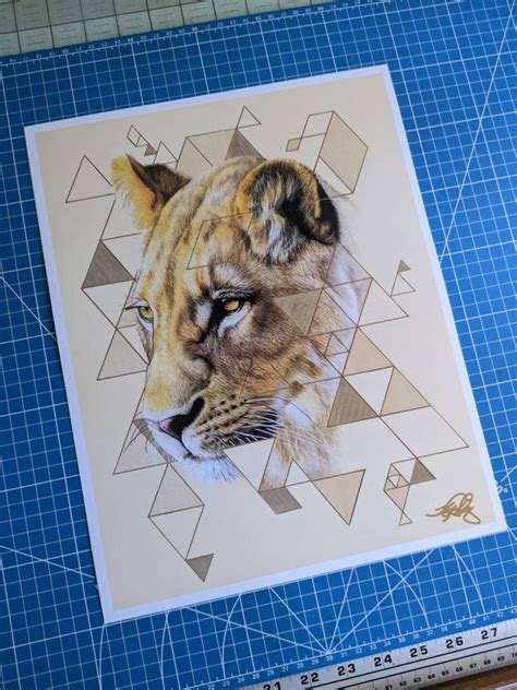 Lioness 11x14 Art Print Etsy