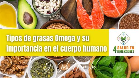 Conoce Los Tipos De Grasas Omega Y Sus Beneficios Dr Job Monobe