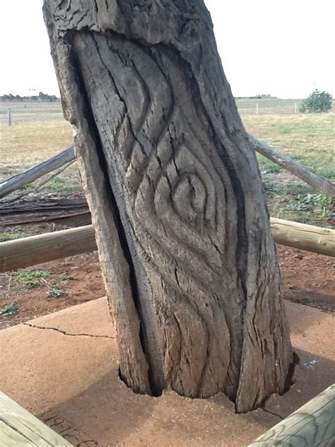 Yuranigh S Grave Near Molong Carved Grave Trees Tribal