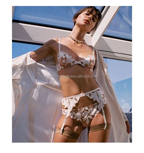 Custom New Design New Embroidery Sexy Lingerie Woman Garters Thin Deep V Push Up Transparent