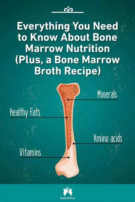 Everything You Need To Know About Bone Marrow Nutrition Plus A Recipe