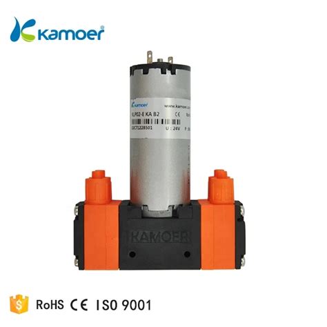 Buy Kamoer Klp Ml Min High Pressure V Electric Double Head Dc