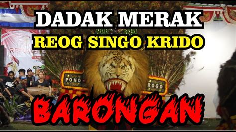 DADAK MERAK BARONGAN REOG SINGO KRIDO PAGELARAN SENI REOG