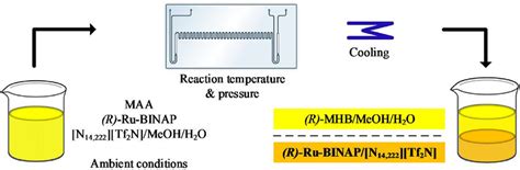 -A simplified schematic expression of the desired reversible biphasic... | Download Scientific ...