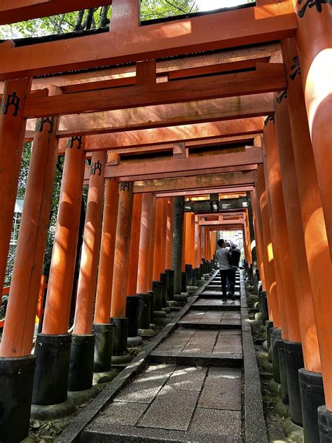 稲荷山・今熊野山・清閑寺山・清水山 チョロまるさんの京都一周トレイルの活動データ Yamap ヤマップ