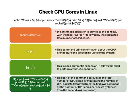 3 Ways To Check CPU Cores In Linux Howtouselinux