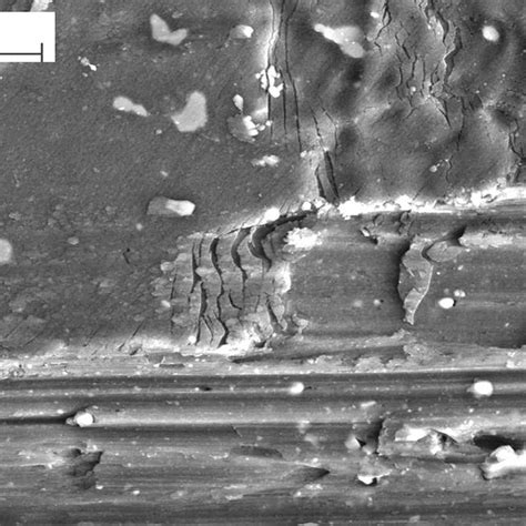 The Four Steps Of Protective Layer Corrosion For Implanted Al 2024