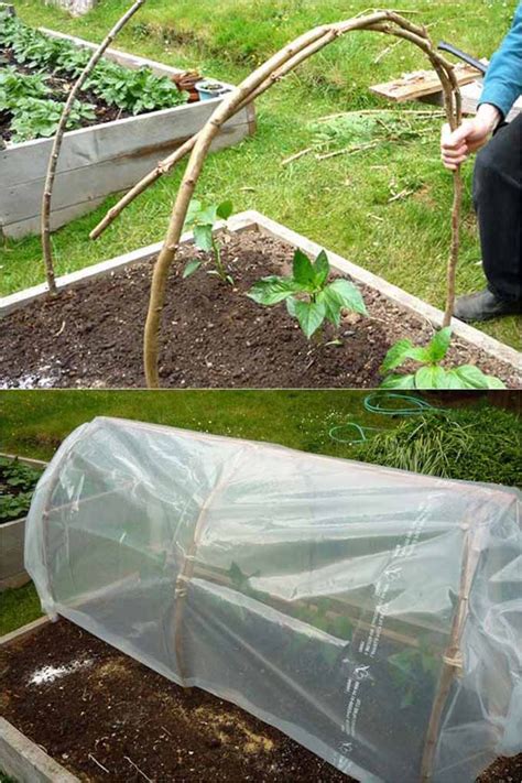 42 Best DIY Greenhouses ( with Great Tutorials and Plans! ) - A Piece ...