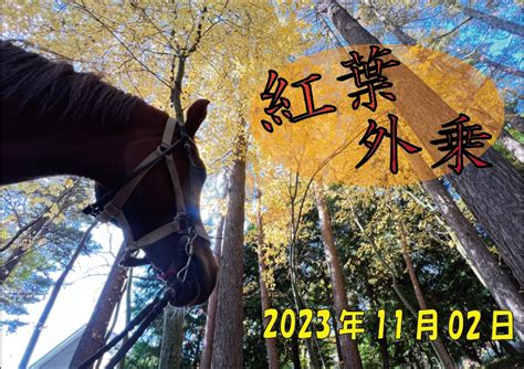 2023年11月02日紅葉外乗【動画公開】 カナディアンキャンプ乗馬クラブ 八ヶ岳