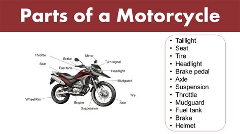 List Of Different Parts Of A Motorcycle Grammarvocab